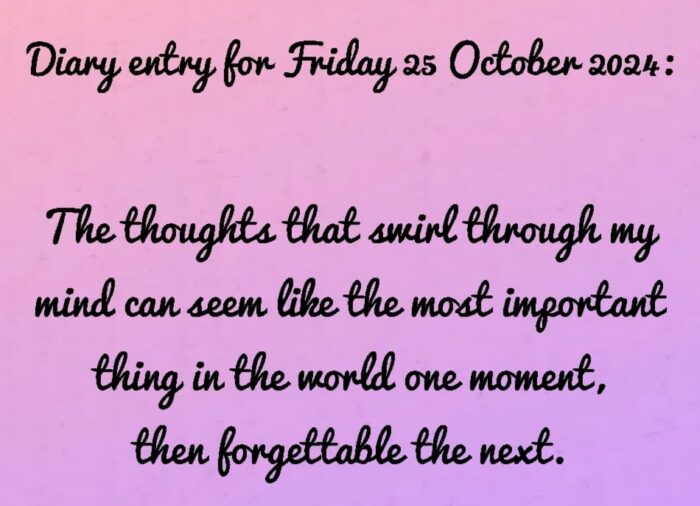 Diary entry for Friday 25 October 2024